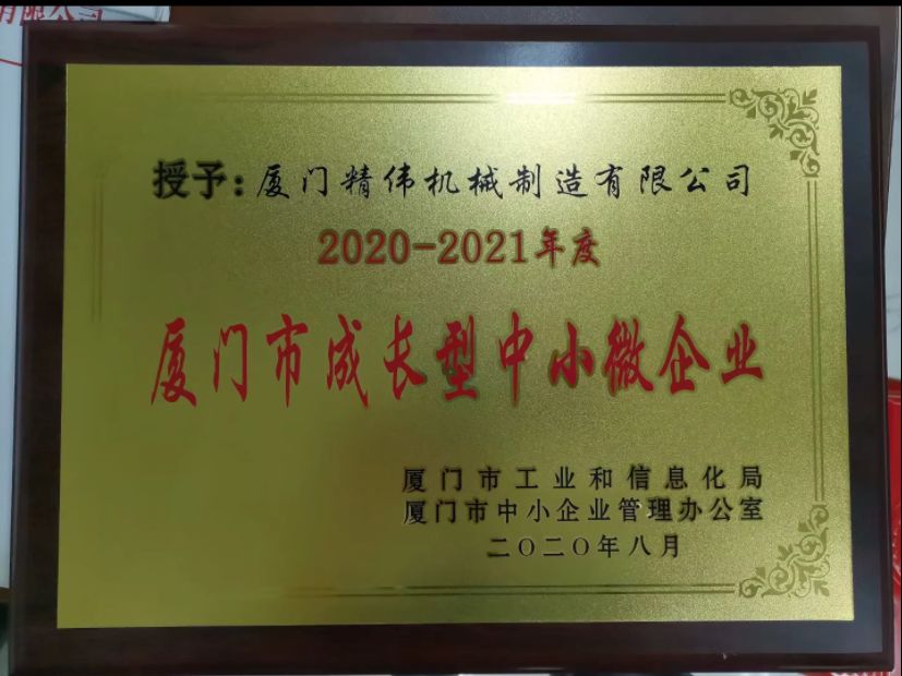 Growth oriented small and medium-sized enterprises 2020-2021